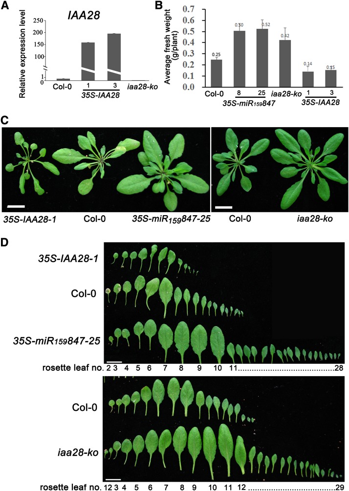 Figure 6.