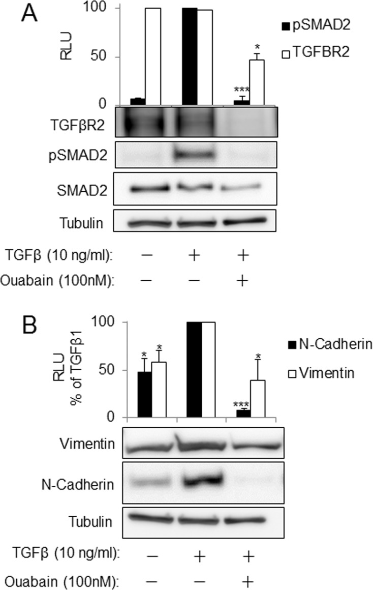 Fig 5