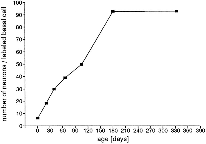 Fig. 14.