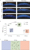 Fig 1 |