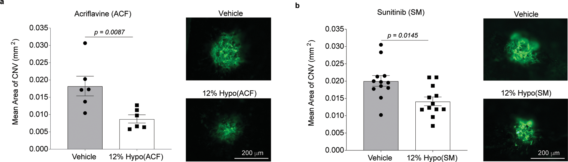 Fig. 4 |