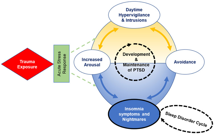 Treatment Of Sleep Comorbidities In Posttraumatic Stress Disorder - PMC