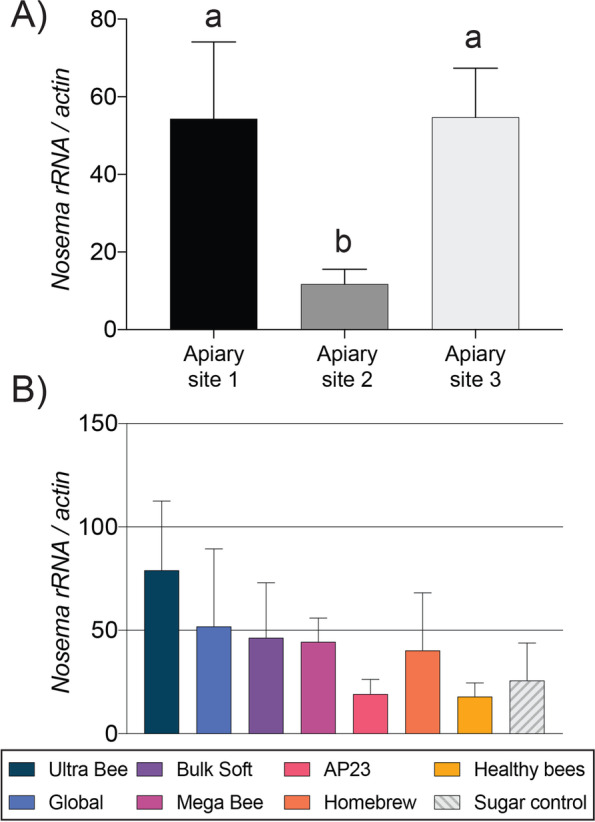 Fig. 12