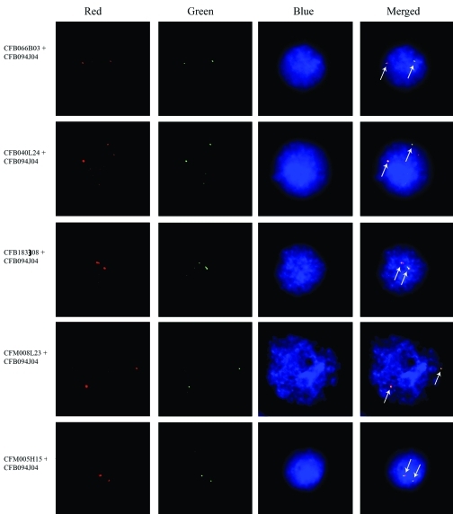 Figure 2