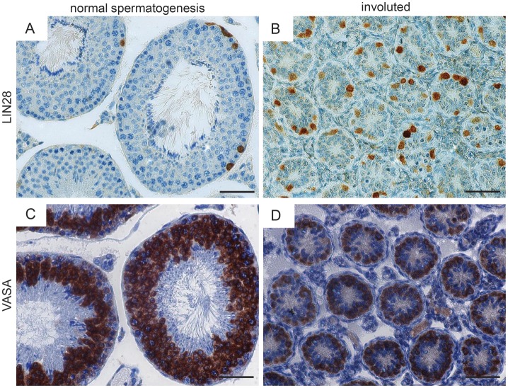 Figure 6