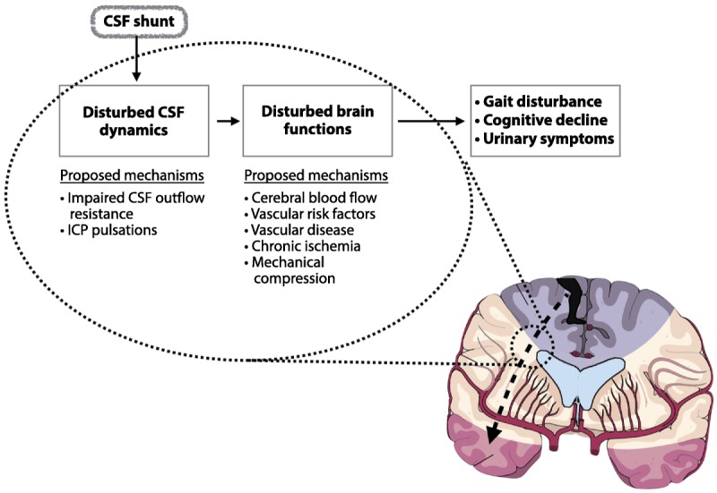 Figure 10-1