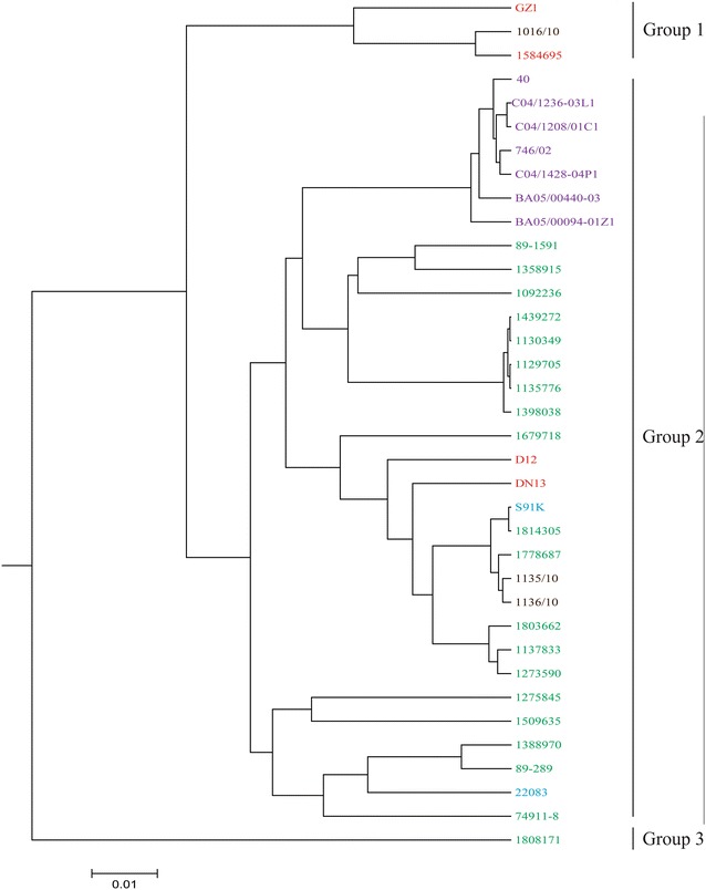 Figure 1