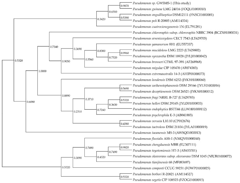 Figure 2