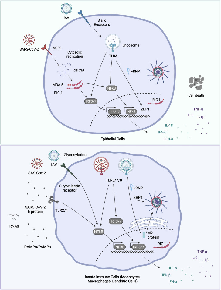 Figure 1