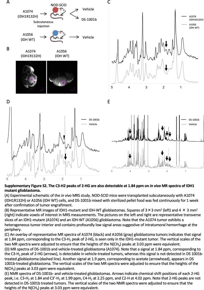 Supplementary figure 2