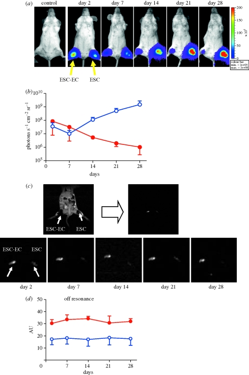 Figure 2.