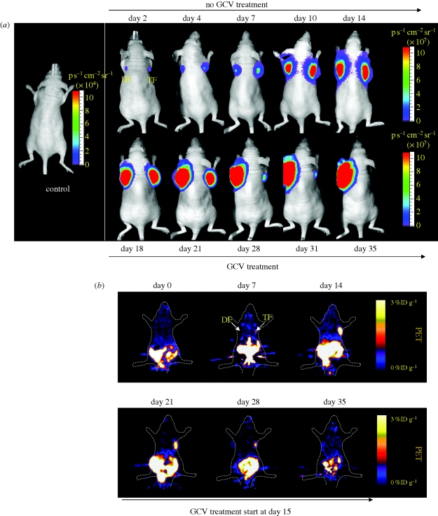 Figure 4.