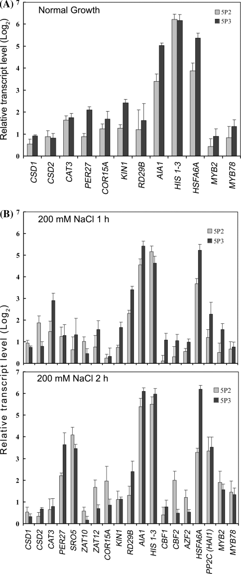 Fig. 6