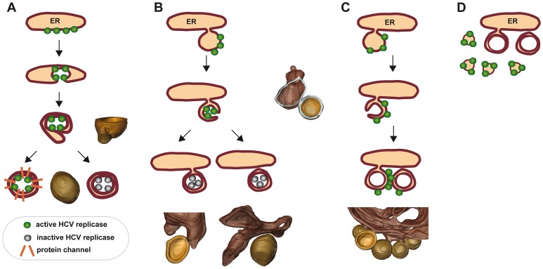 Figure 9