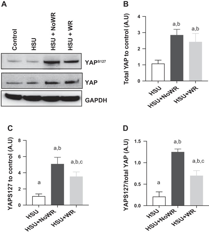 Fig. 10.