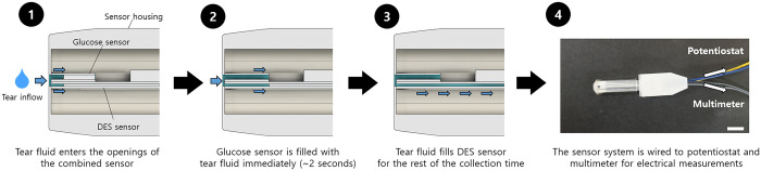 Fig 3