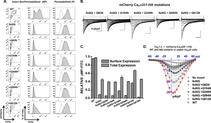 FIGURE 4.