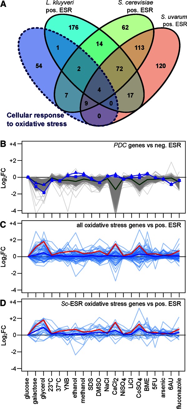 FIGURE 4: