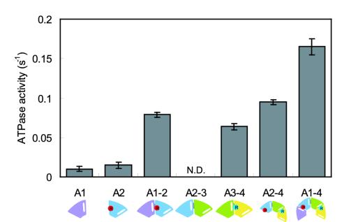 Fig. 4.