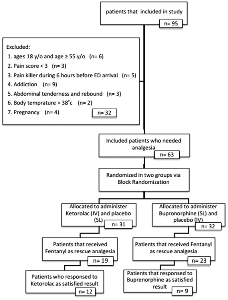 Fig. 1