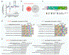 Extended Data Fig. 7 |