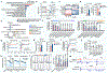 Fig. 3 |