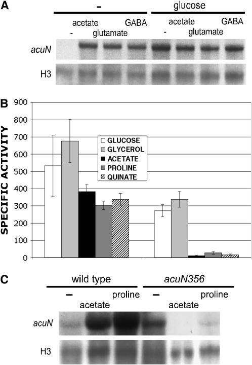 Figure 3.—