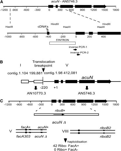 Figure 2.—