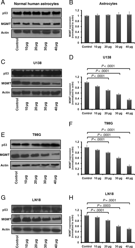 Fig. 1.