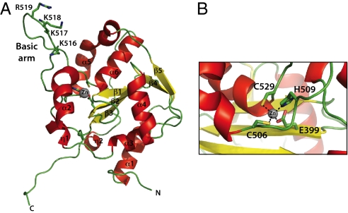 Fig. 1.