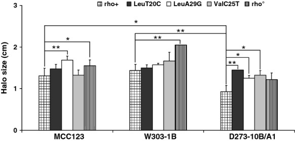 Figure 6