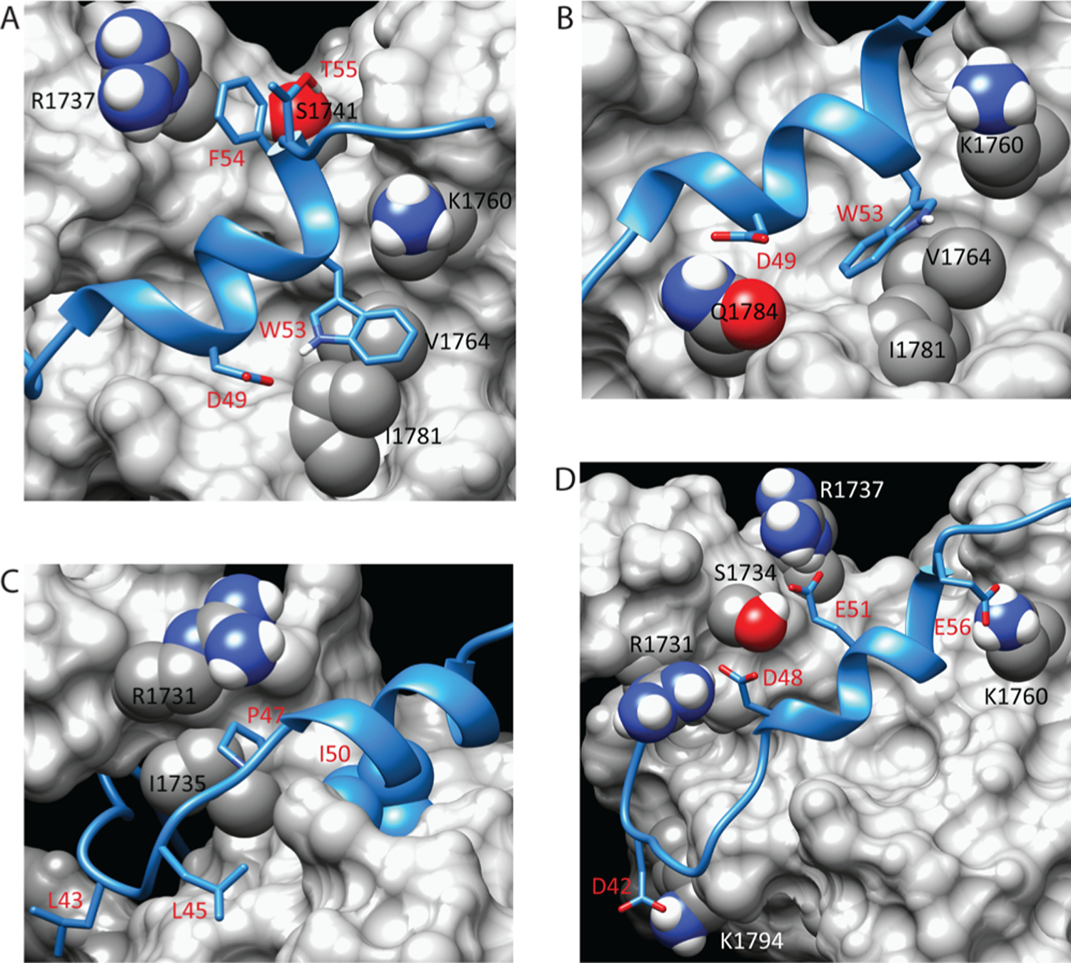 Figure 2.