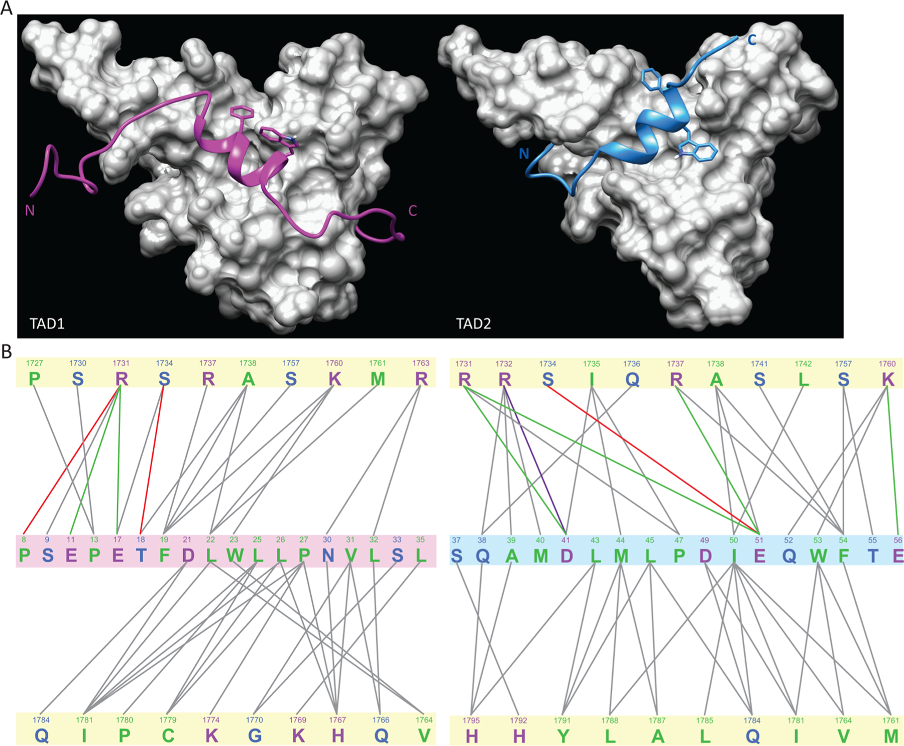 Figure 4.