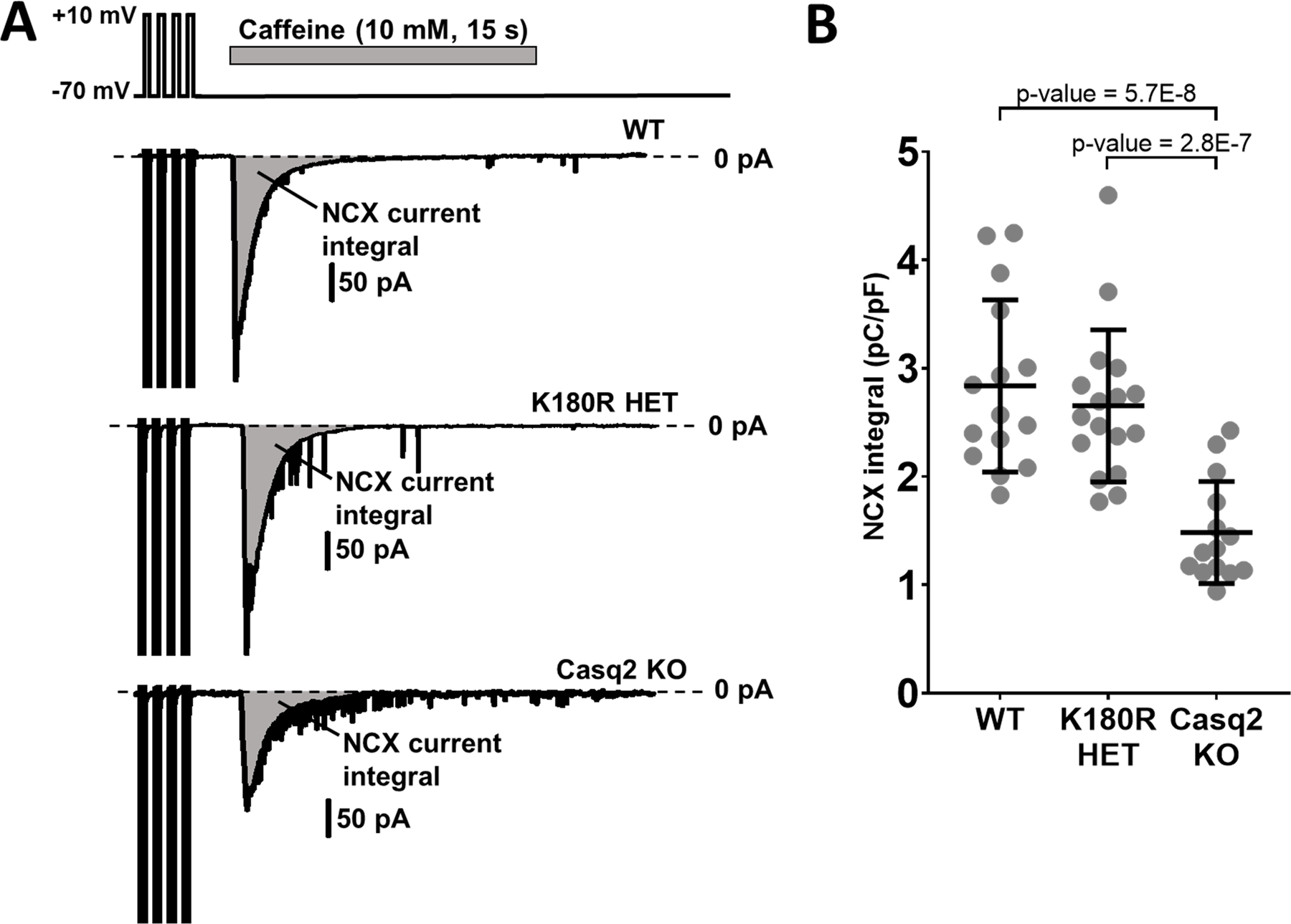 Figure 5: