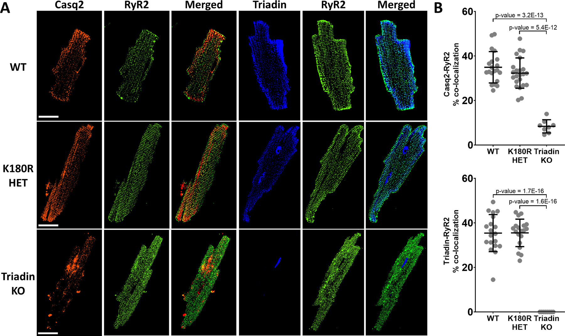 Figure 4: