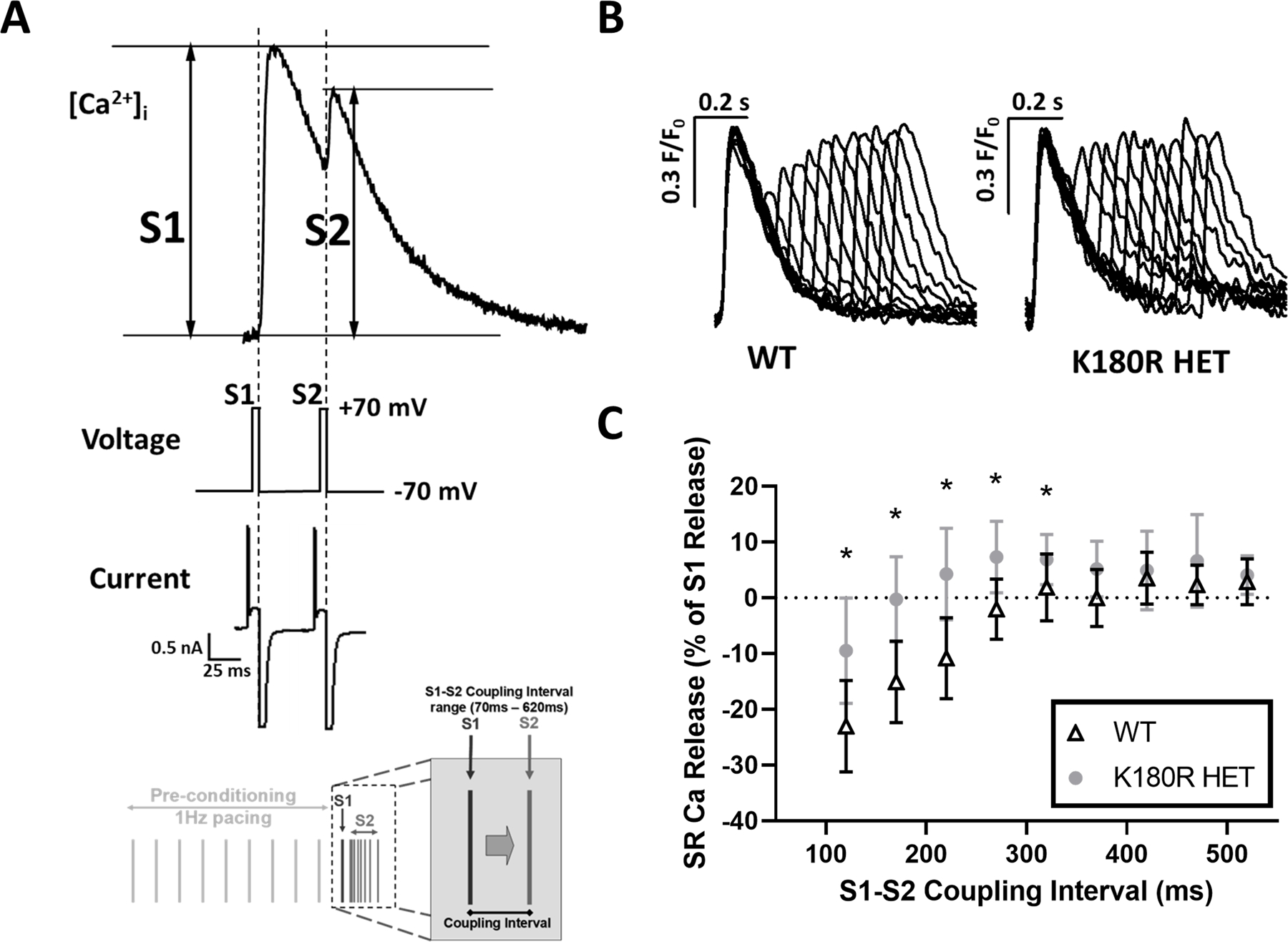 Figure 6: