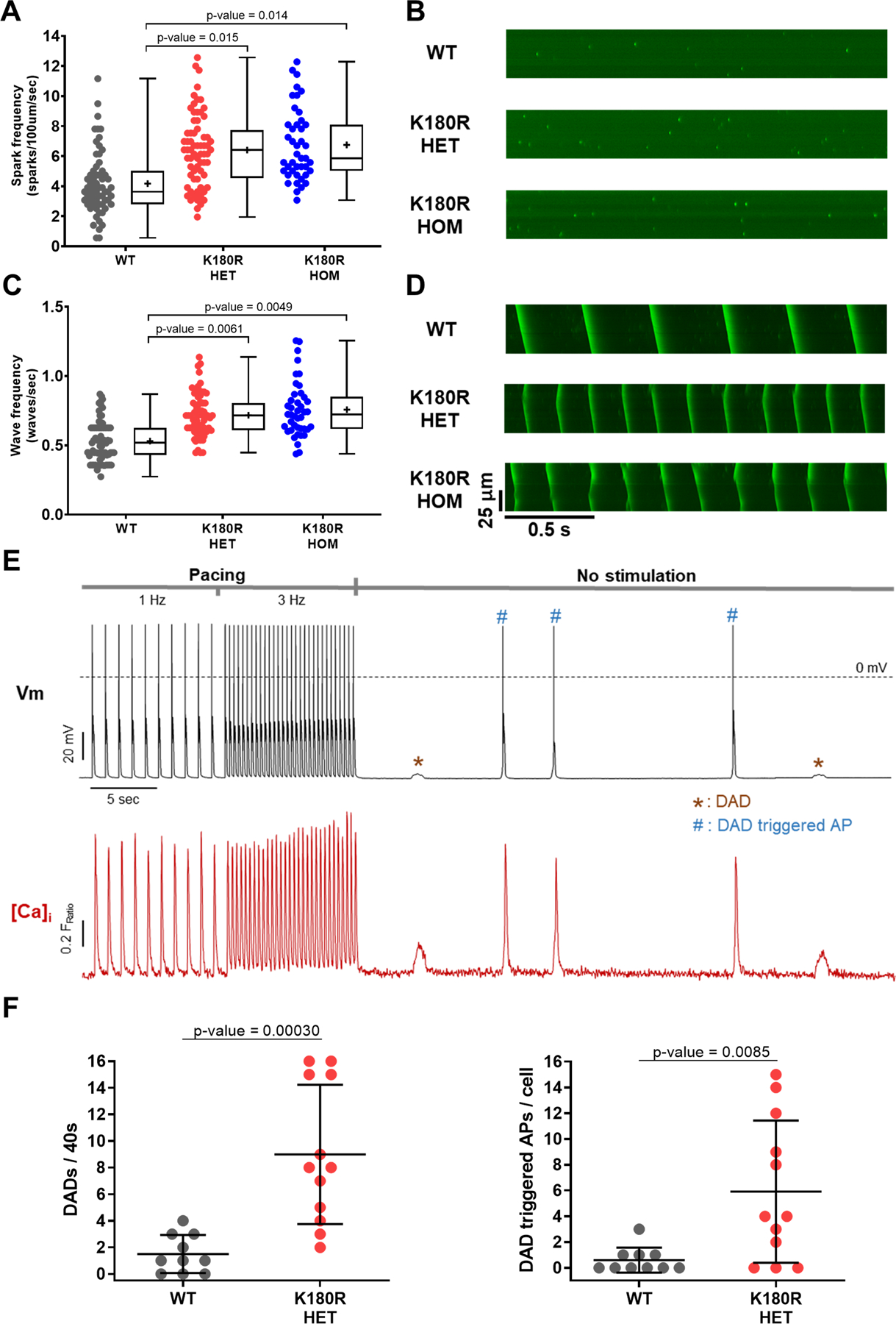 Figure 2: