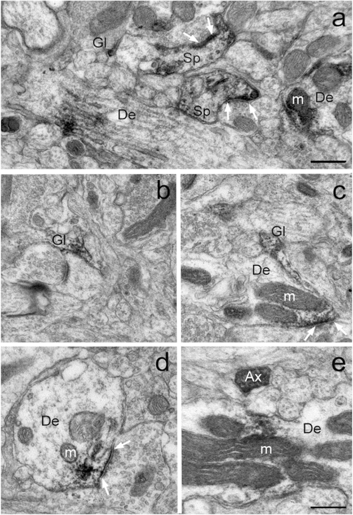 Figure 3: