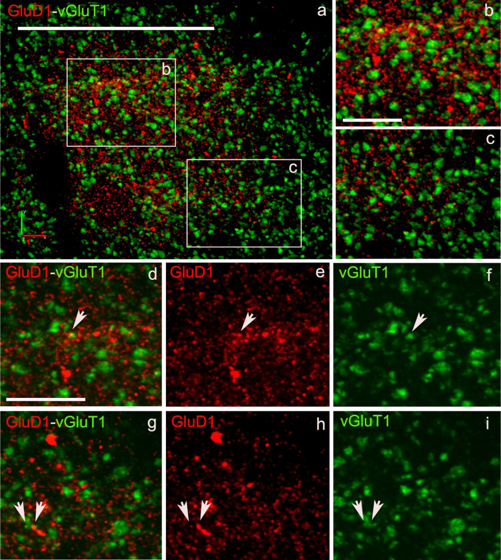 Figure 6: