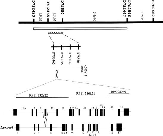 Figure  4