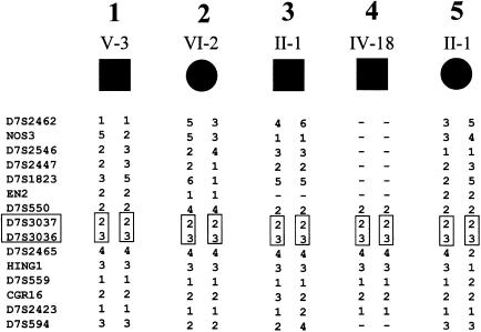 Figure  3