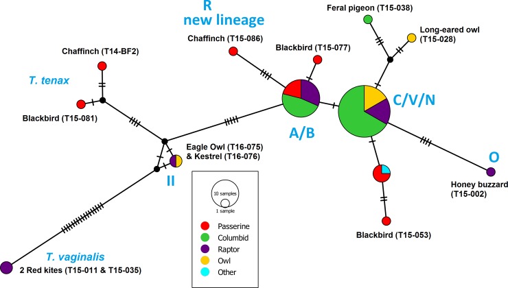 Fig 1