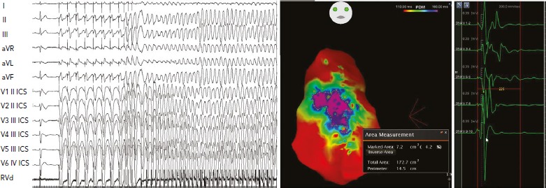 Figure 3: