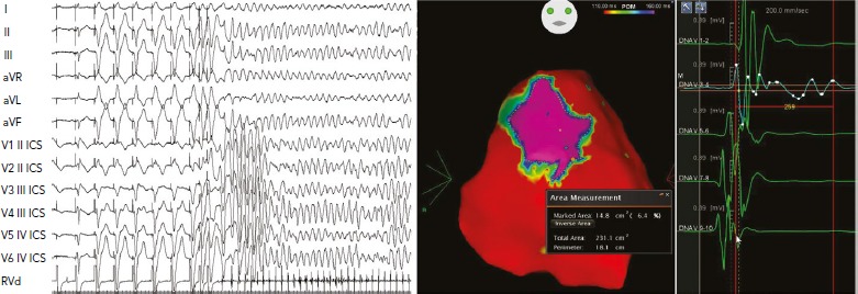 Figure 4: