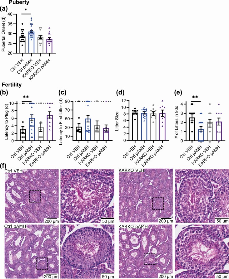 Figure 11.