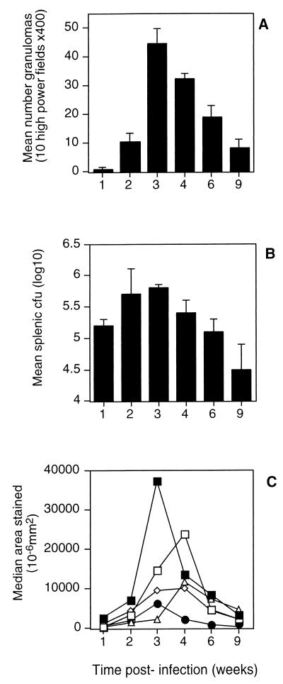 FIG. 1