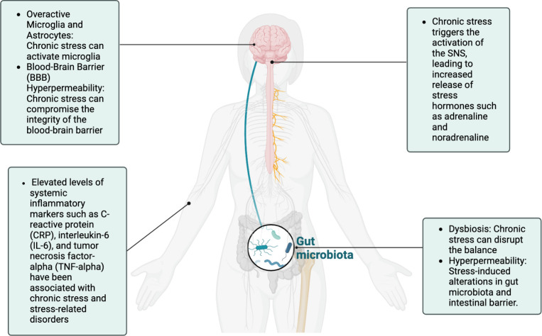 Figure 2