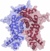 Figure 5