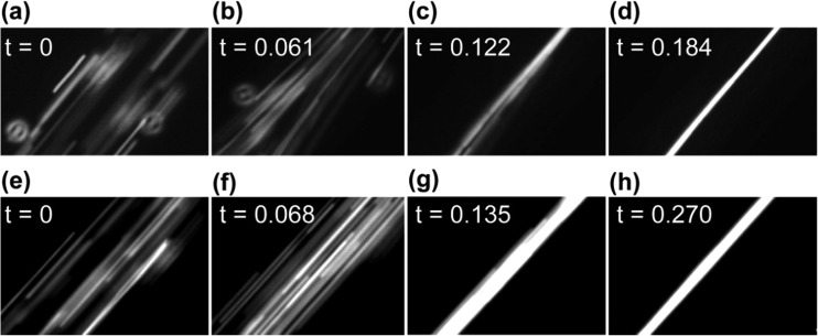 FIG. 7.