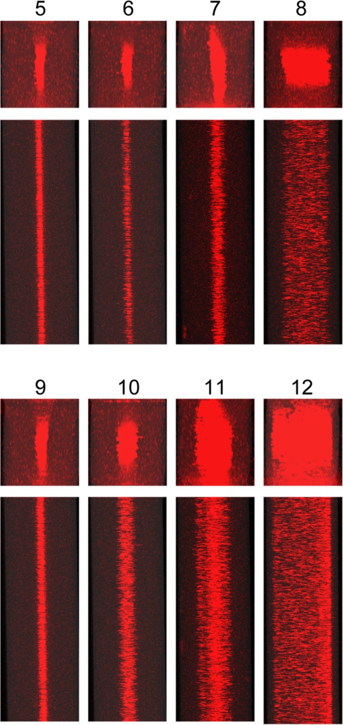 FIG. 6.